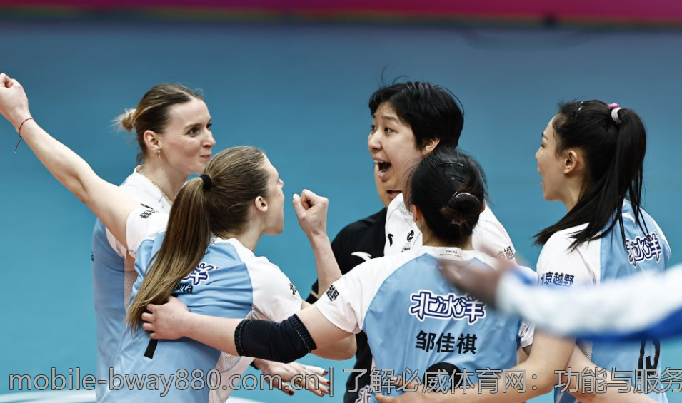 了解必威体育网：功能与服务全解析
