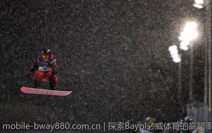 探索Baypl必威体育的高赔率优势